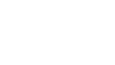 The Duct Cleaners